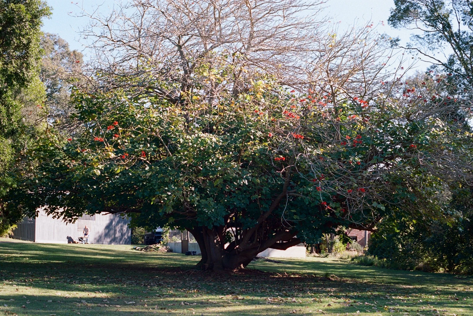 Super Nature (2025) BFI London Film Festival — photograph 20