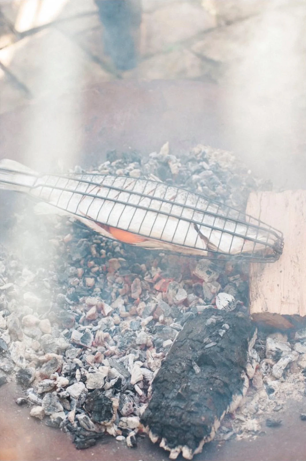 Cook A Plate For A Mate with Adam Goodes & Jason Roberts — photograph 3