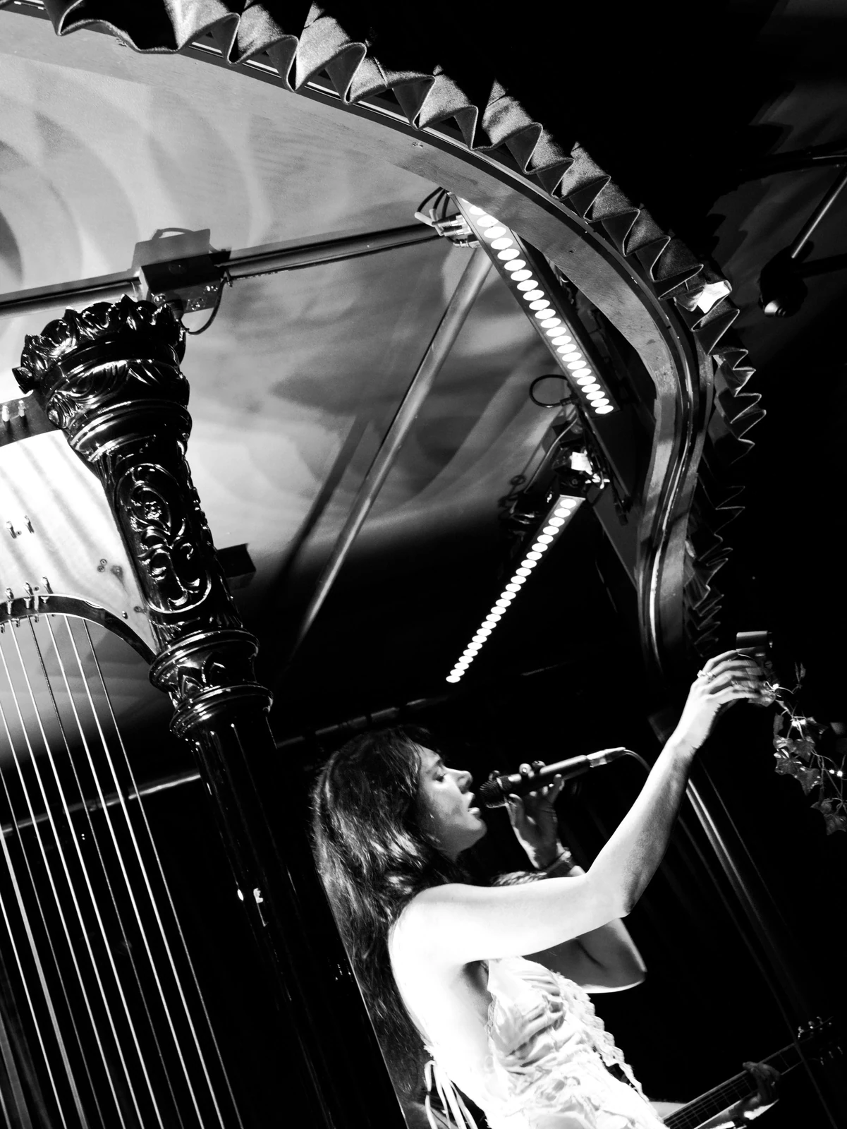 Music — photograph 6