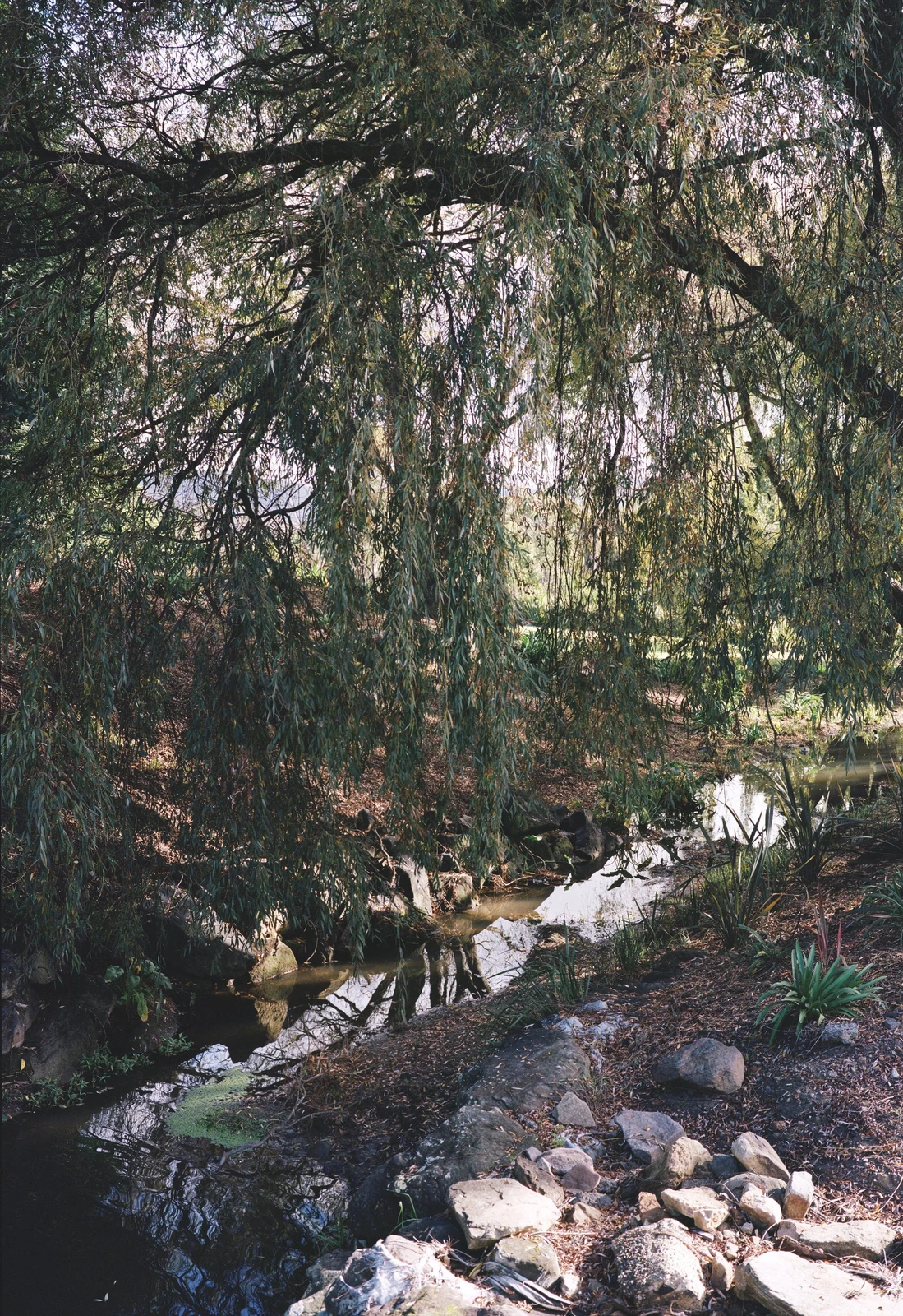 Oliver Poignand — photograph 1