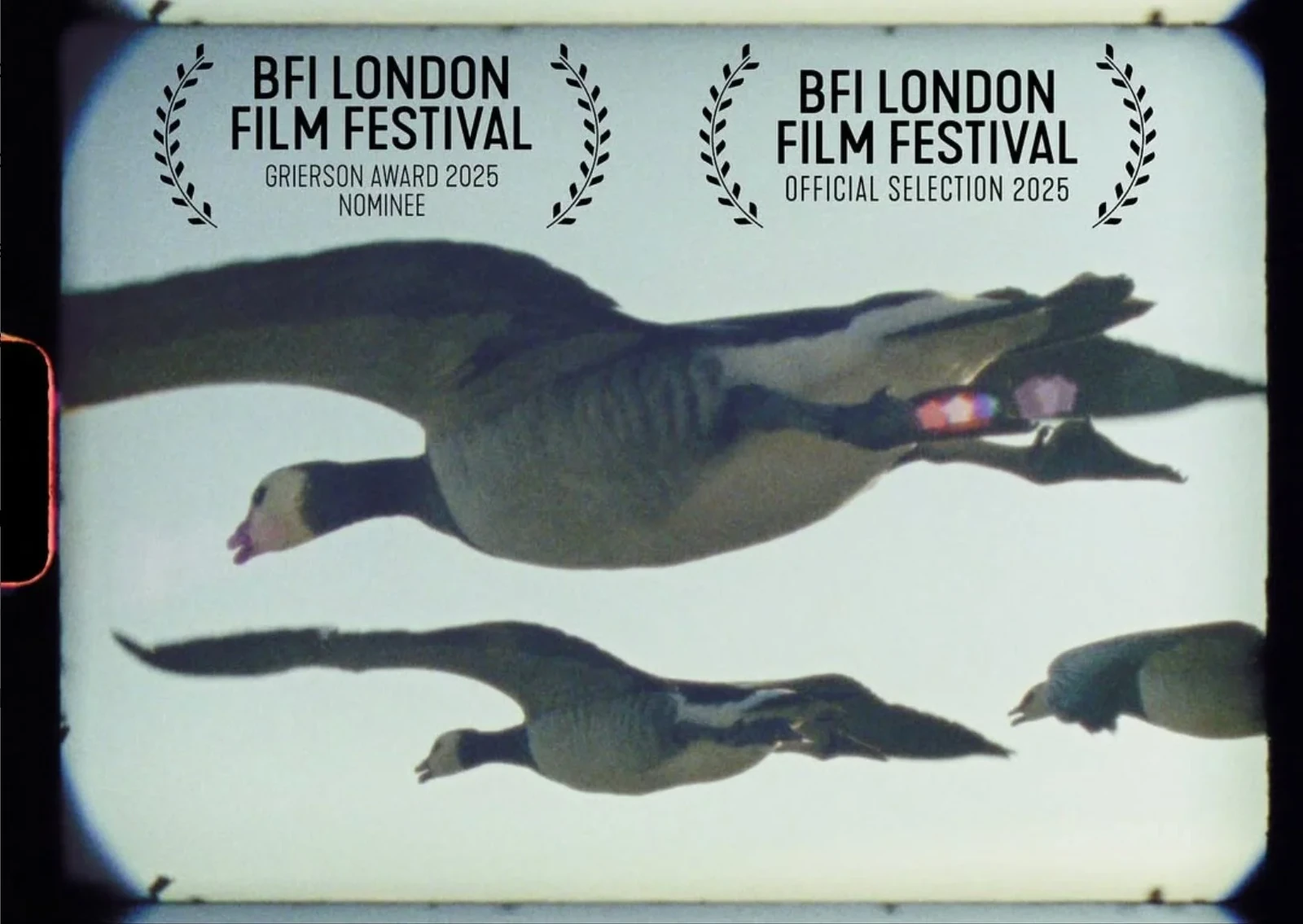 Super Nature (2025) BFI London Film Festival — photograph 1